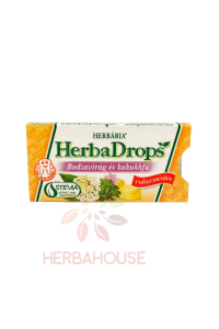 Obrázok pre Herbária HerbaDrops Bylinné pastilky bez cukru bazový kvet a tymián (8 pastiliek)