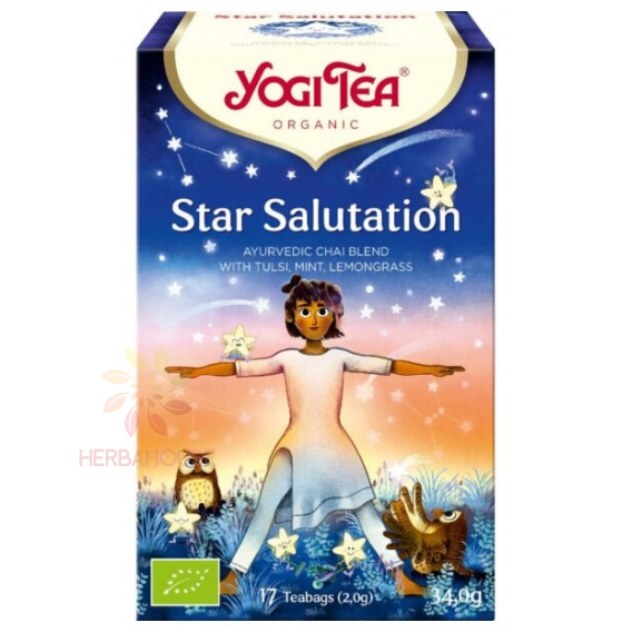 Obrázok pre Yogi Tea® Bio Ajurvédsky čaj Star Salutation (17ks) 